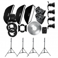 Комплект Profoto Pro-8A Professional Kit на два генератора и четыре головы 966891