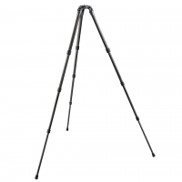 Штатив Gitzo GT2542S Systematic