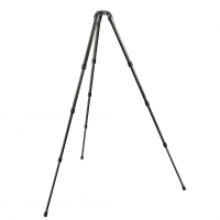 Штатив Gitzo GT2542LS Systematic