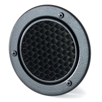Bowens Сотовый фильтр BW-1862 1/4
