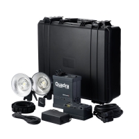 Комплект Elinchrom Quadra Hybrid /A-head 10400.1