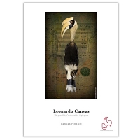 Фотобумага Hahnemuhle Leonardo Canvas 390gsm, холст, глянцевый, рулон 24