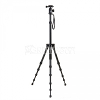 Штатив GreenBean GreenBean PhotoMaster 416 BH