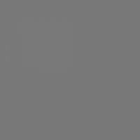 Бумажный фон Colortone 2.75*11m/Charcoal Серый BDSV-2.75-27