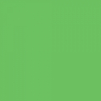 Бумажный фон Colortone 2.75*11m/Tech Green Зеленый BDSV-2.75-46