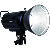 Моноблок Raylab SPRINT II RTD-400